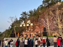 -千岛湖天屿景区