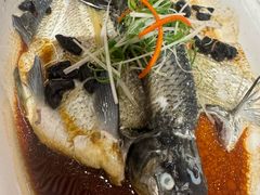 -陶缘一号·四季缘·老字号顺德菜·户外婚礼家宴(西滘店)