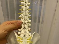 -修申骨雕小颜脊柱骨盆管理产后修复