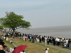 -观潮胜地公园
