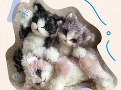 -西武百货(涩谷店)