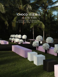 -CHOCO-启蔻婚礼(三亚公司)