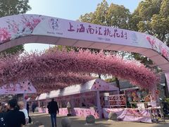 -南汇桃花村