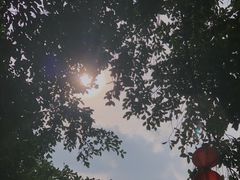 -大旗头古村