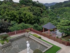 -罗浮山嘉宝田森林温泉度假酒店