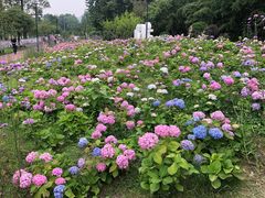 -塔子山公园