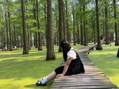 -渌洋湖湿地公园