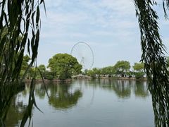 -无锡蠡湖国家湿地公园-蠡园