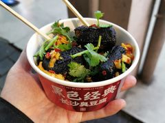 -黑色经典臭豆腐·湖南特产(坡子街店)