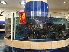 水产区-龙的酒楼·手工早茶·顺德菜(近良路店)