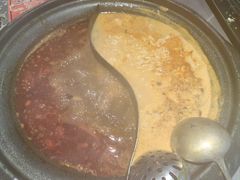 -生活如沸·顺德水牛奶火锅(大学路店)