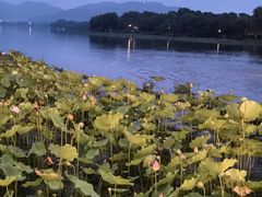 -湘湖大院(越王路店)