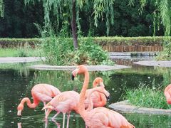 -石家庄市动物园