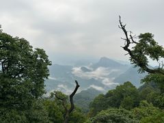 -青城山