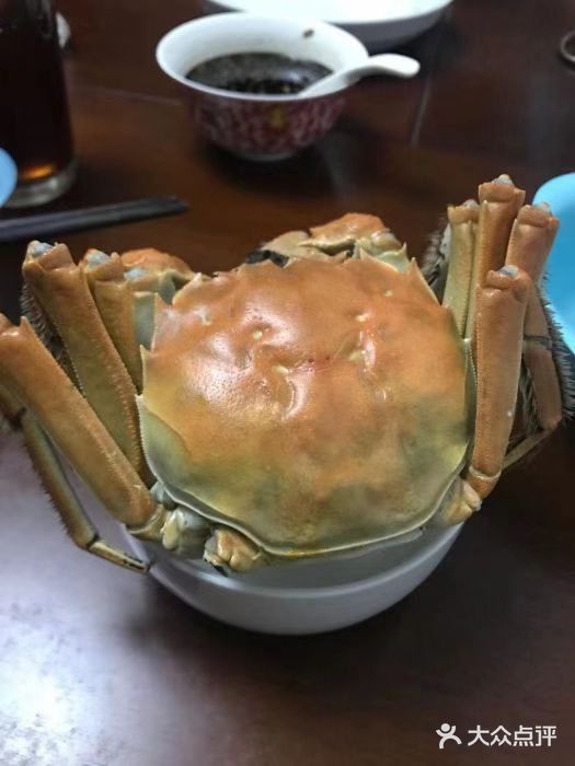 阳澄湖景点推荐|一个人少景美的小众景点