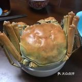 阳澄湖景点推荐|一个人少景美的小众景点