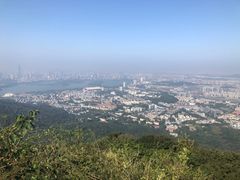 -紫金山山顶公园