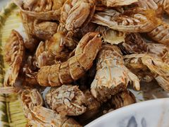 -山东八大碗山东老字号