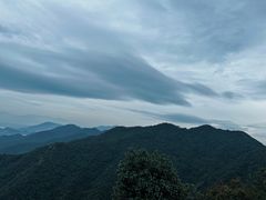 -午潮山国家森林公园