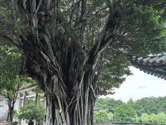 -东莞市可园博物馆