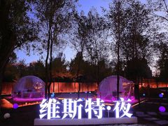 -维斯特·夜烤牛肋条任吃