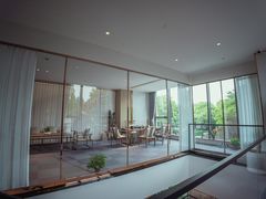 -绿雪芽白茶(浙大华家池校区凯旋路店)
