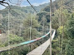 -龙岩森林水乡景区