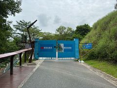 -阳台山森林公园