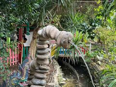 -呀路古热带植物园