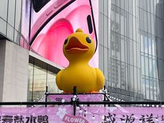-金茂览秀城