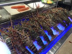 -西贡日航酒店