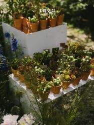 -美薇亭婚礼顾问