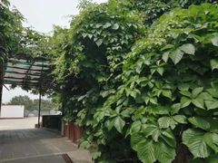 -丽泽山庄·生态怀柔菜·虹鳟鱼(红螺寺店)
