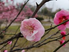 教学楼-东南大学(九龙湖校区)