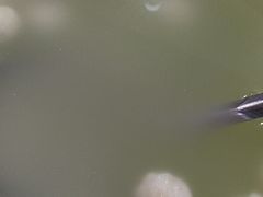 -考记泥焗鸡农庄·海鲜(北洛秘境店)