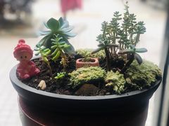 -404干式熟成牛排馆•聚会餐厅