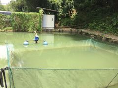 -鹿福农庄(南沙天后宫店)