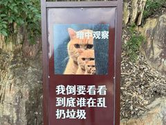 -明堂山风景区