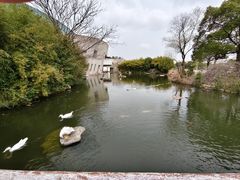 -新江湾城公园
