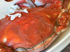 -合家小菜餐馆(新诚花苑店)