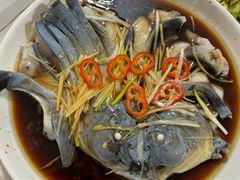 -煲来饱去冷水鱼