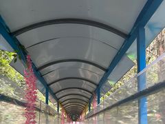 -七仙岭温泉国家森林公园