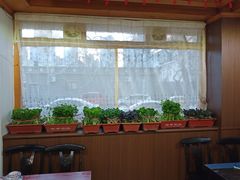 -1910老鲁味海鲜·戳子肉·青岛菜(金沙滩店)
