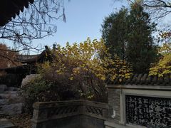 -沈阳植物园