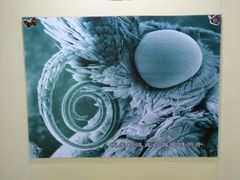 -上海昆虫博物馆