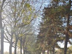 -汉长安城未央宫国家考古遗址公园