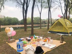 -森林公园(尖草坪区)