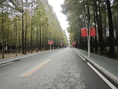 -日照海滨国家森林公园