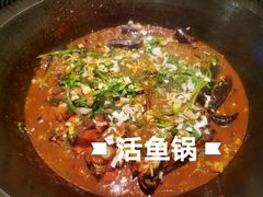 活鱼锅-挂雪铁锅炖大鹅