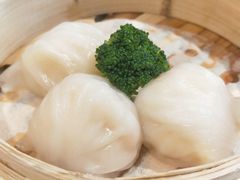 -粤式早茶希朋喜宴